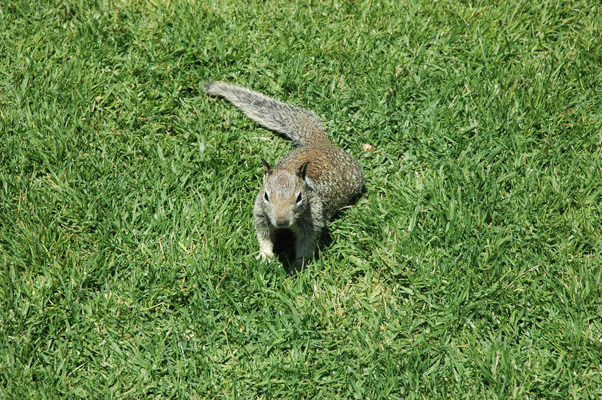 Morro Bay 001.JPG